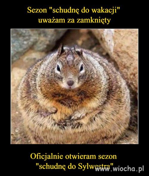 Następnym razem...