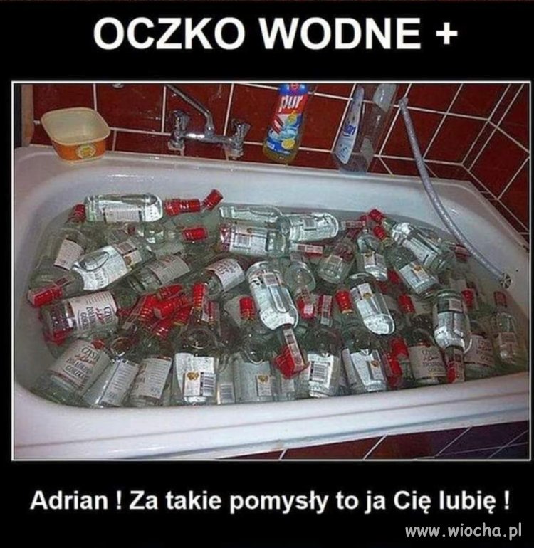 Oczko+