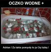 Oczko+