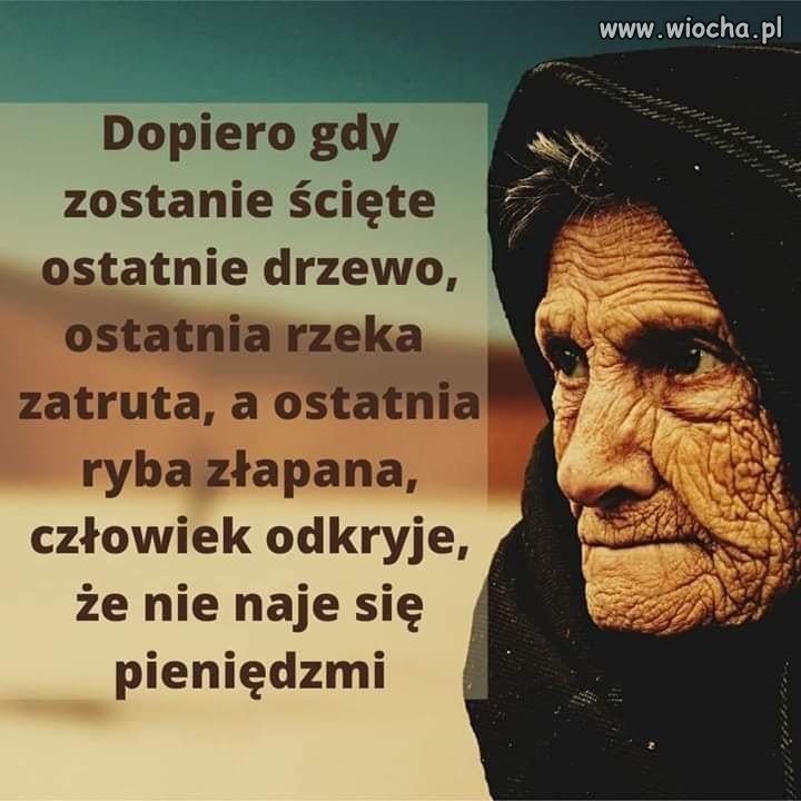 Tymczasem 