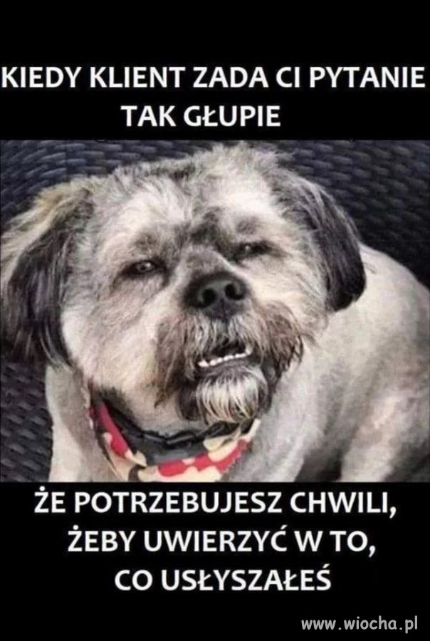 Że co proszę? 