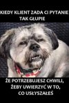 Że co proszę? 