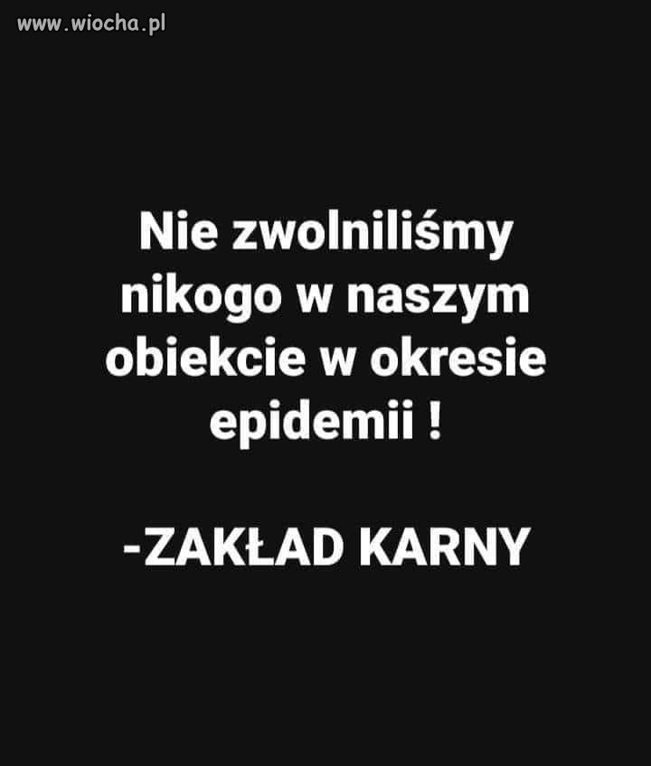 Jednak pinokio 