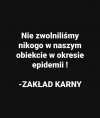 Jednak pinokio 