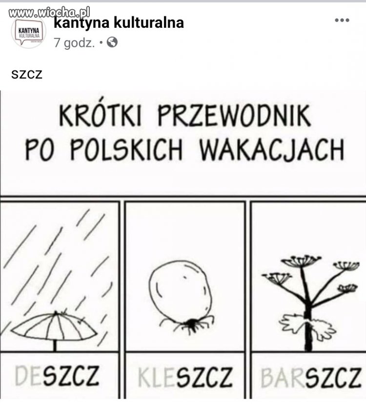 Polskie wakacje