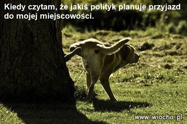 I przyjedzie