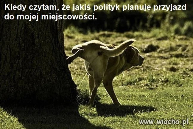 I przyjedzie
