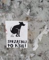 Czas posprzątać !