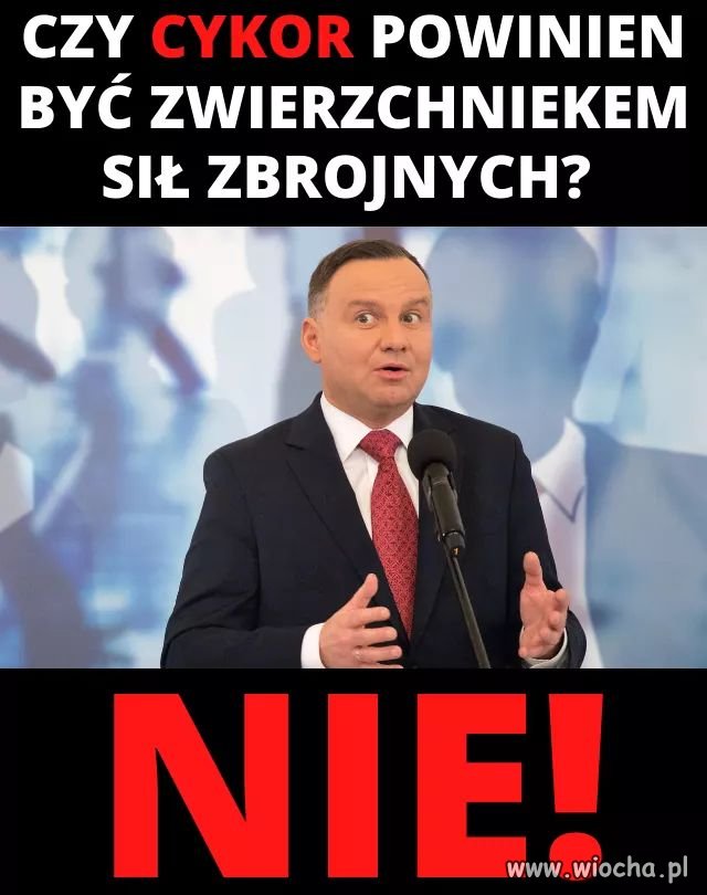 Nie i jeszcze raz nie...