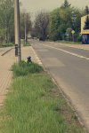 Jarosław