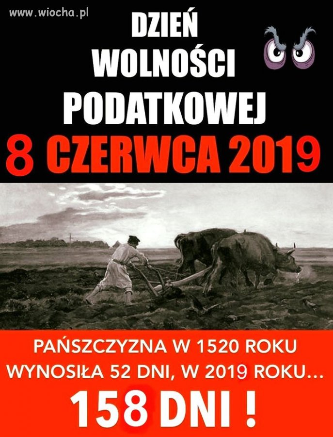 Dzień wolności