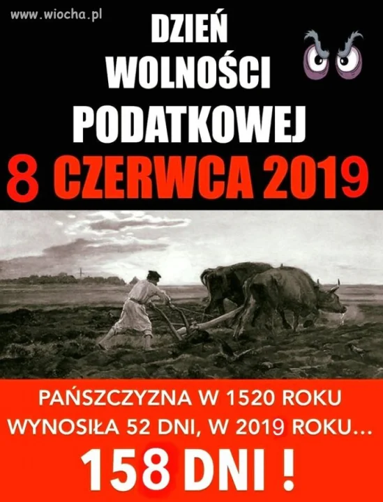 Dzień wolności