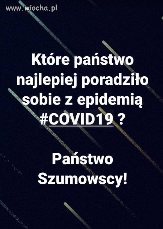 Faktycznie, wyjątkowo dobrze sobie poradzili