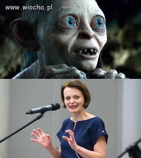 Bez tytułu