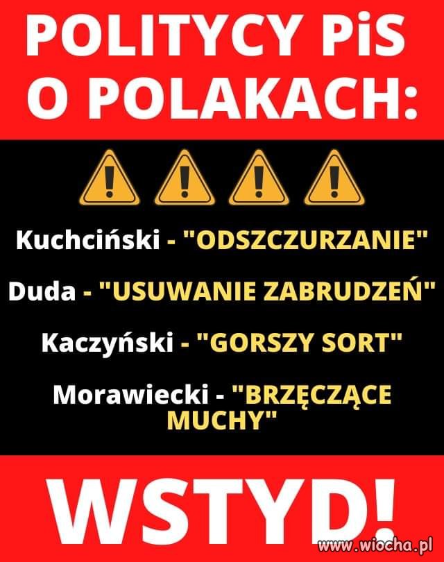 Nie jesteś zwolennikiem dobrej zmiany? 