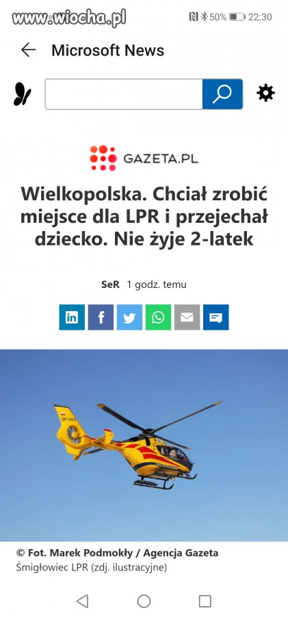 Ależ debili mamy 