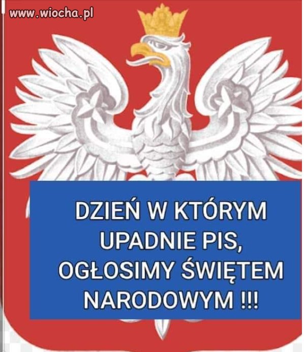 Kto za łapka w górę (: