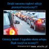 Śląsk ruszył na wczasy