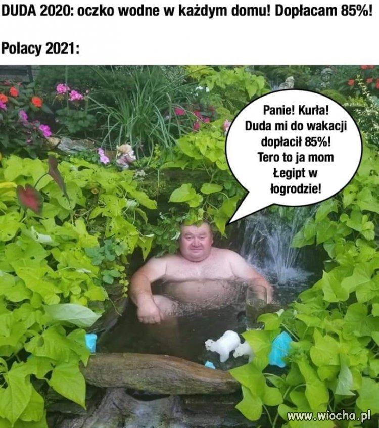Brawo