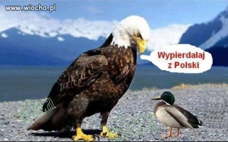 Tak będzie