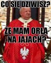 Kto publicznie znieważa, niszczy, uszkadza lub usuwa godło, sztandar, chorągiew, banderę, flagę lub inny znak państwowy,