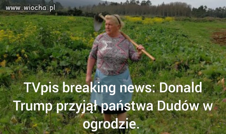 TVpis