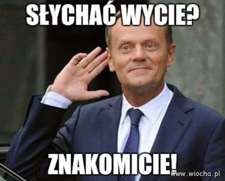 Jak to mówili w PIS