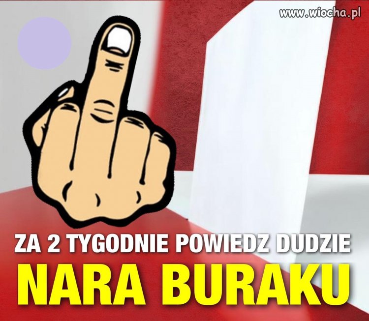 Naprawdę warto ...