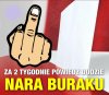 Naprawdę warto ...