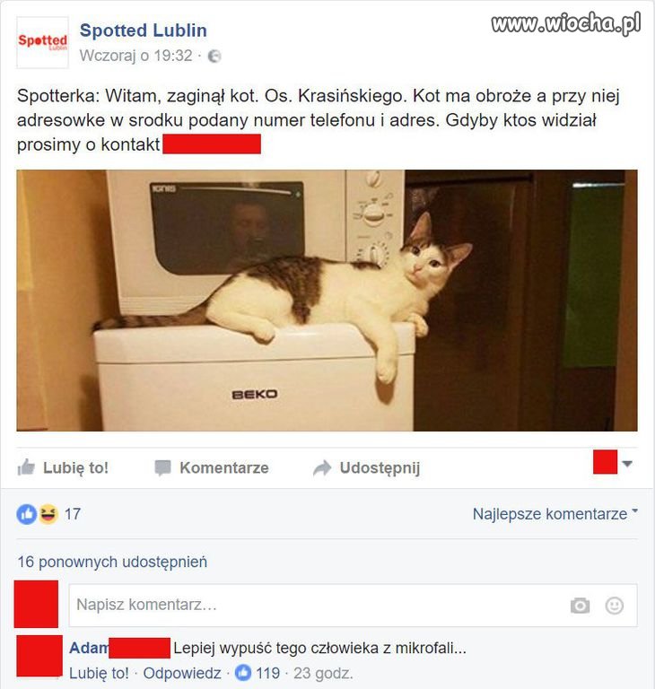 W mikrofali