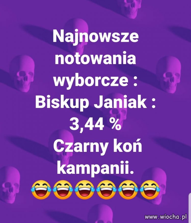 Nowe notowania ...
