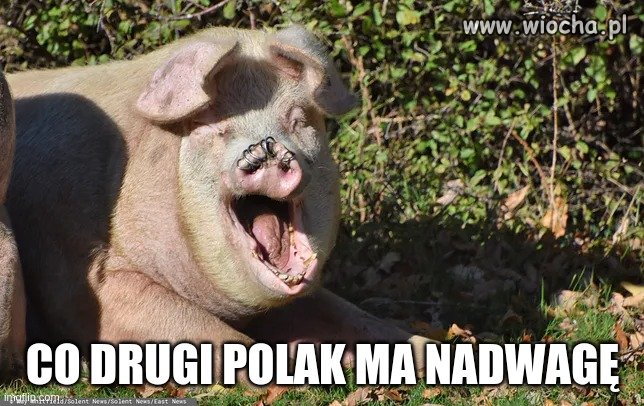 Zamknij paszczę