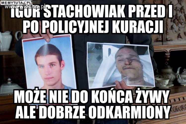 Kolejny pisowski sukces ale dziwnie o nim cicho