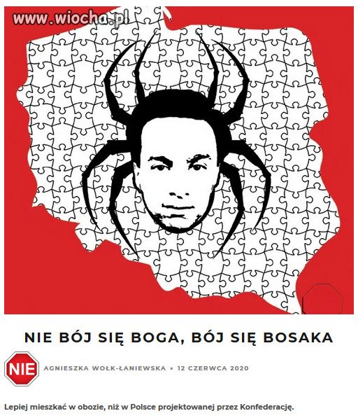 Słabość polskich nazioli wynikała wyłącznie z ich  głupoty. 