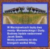 Inżynieria budowlana 