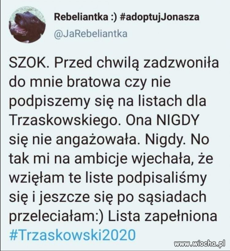 WyPAD 2020