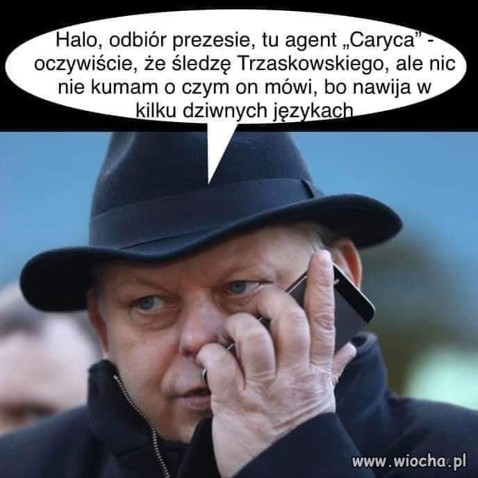 Kopanie dołków 