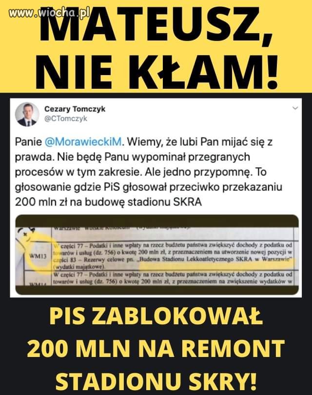 Matołuszek 