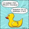 Biznes się kręci