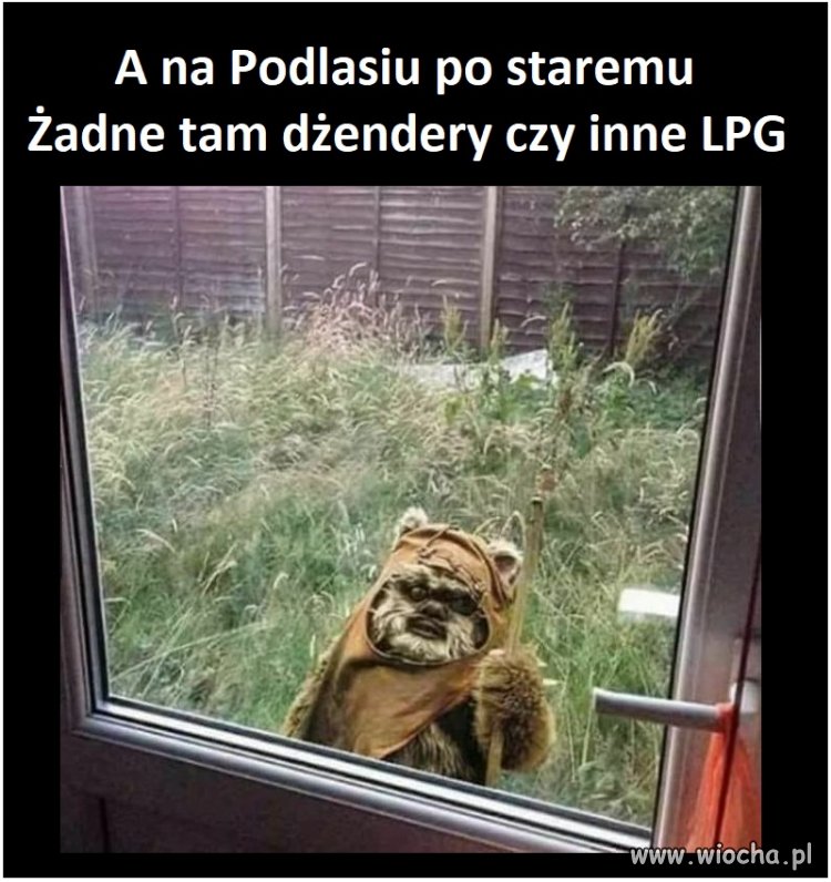A tymczasem na Podlasiu...