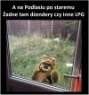 A tymczasem na Podlasiu...