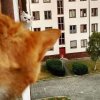 A ty jak żeś głosował?!