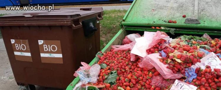 Litujmy się dalej nad badylarzami