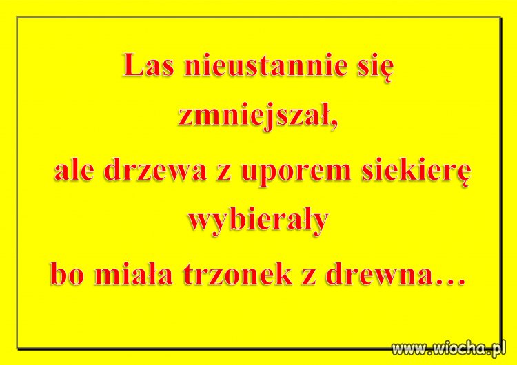Co tym razem drzewa wybiorą?