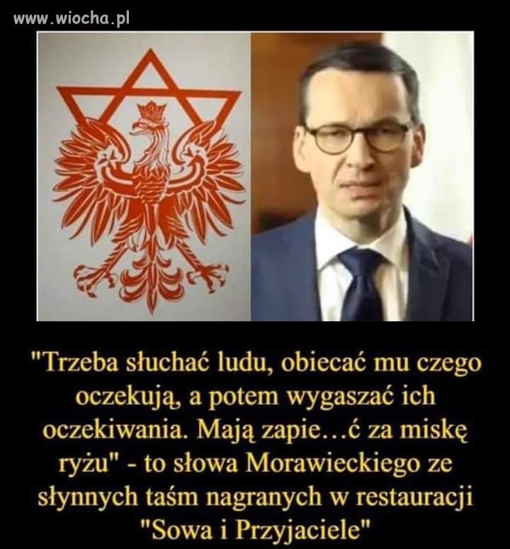 Sowa i przyjaciele
