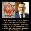 Sowa i przyjaciele