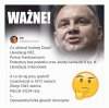 PAD w pigułce
