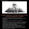 Telewizyjne pranie mózgu