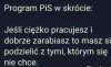 Program  pis w skrócie. 