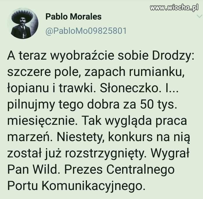 Praca marzeń
